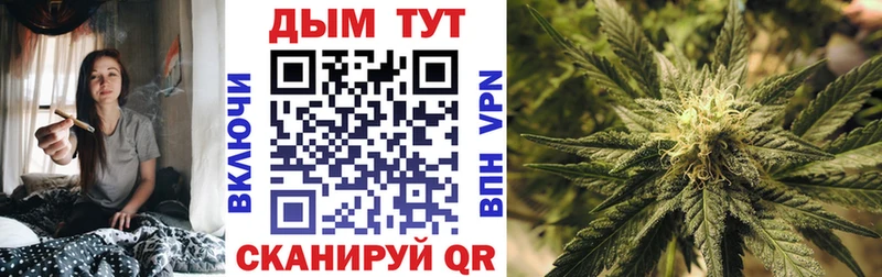 Каннабис планчик  Чапаевск 